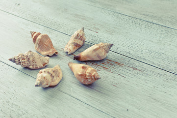 Holiday memories: decorative seashells