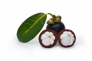 Mangosteen