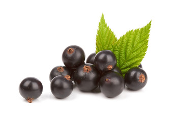 black currant