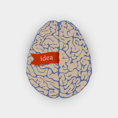 Creative  vector illustration human brain