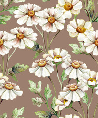 Feverfew Seamless Pattern