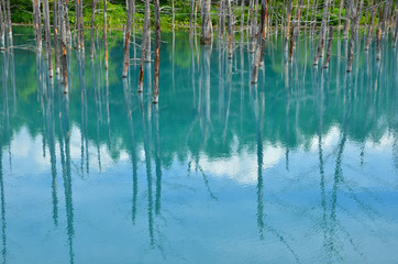 青い池
