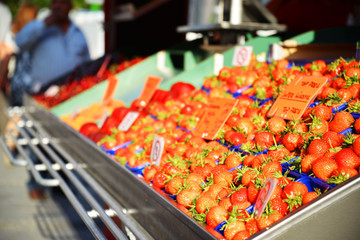 Obststand auf einem Marktplatz Detail