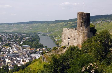 Fototapeta na wymiar Burg Landshut