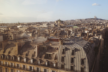 Fototapeta premium Paris Rooftop Cityscape