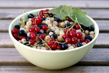 Harvested currant berries with green leaves in a cup