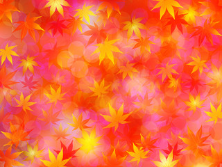 もみじ　紅葉　背景　秋