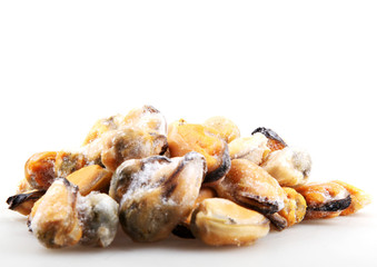 mussels 