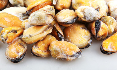 mussels 