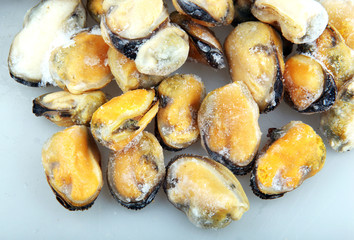 mussels 
