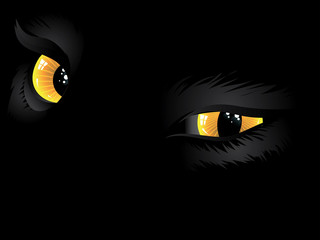 Yellow cat eyes in the dark