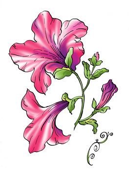 Petunia clip art preview