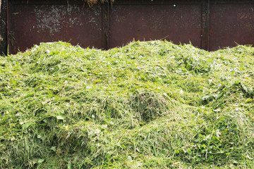 Compost Bins