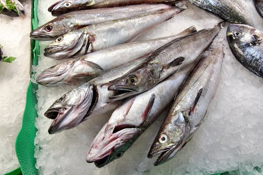 Fish at Boqueria Market in Barcelona
