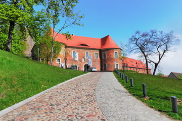 Fototapeta na wymiar Burg Eisenhardt
