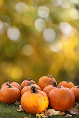 kürbisse vor herbstbokeh