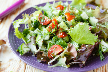 salad with lettuce and cucumber
