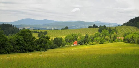 Fotobehang Tsjechië landscape near Markousovice below Jestrebí hory mountains  © rihas