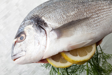 rohe Brassen auf Crushed Ice