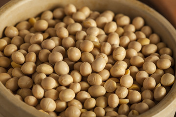 Organic Dry Soy Beans