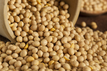 Organic Dry Soy Beans