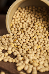 Organic Dry Soy Beans