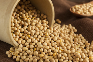 Organic Dry Soy Beans