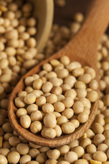 Organic Dry Soy Beans