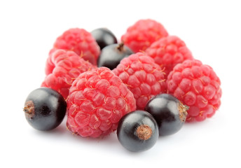 raspberries and black currant