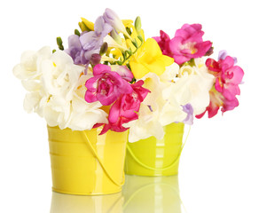 Beautiful bouquet of freesias in pails, isolated on white