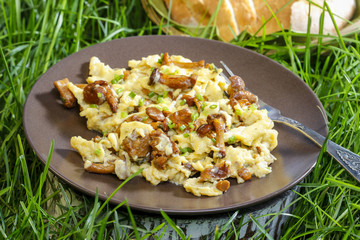 Traditional scrambled eggs with fresh chanterelle
