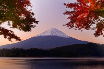 Fototapeta premium Mt. Fuji at Dawn in the Autumn