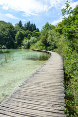Obraz premium Wooden Path