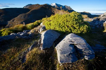 Rolgordijnen New Zealand mountain landscape © Jakub Cejpek