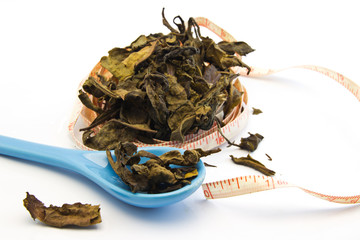 dry leaves of green tea in ceramic spoon