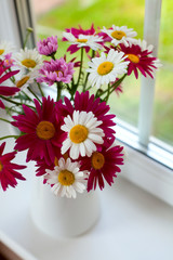 colorful daisies on window sill