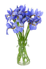 fleurs d& 39 iris dans un vase