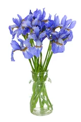 Photo sur Aluminium Iris fleurs d& 39 iris dans un vase