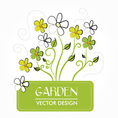 garden design