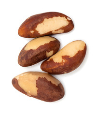 background, bertholletia, brazil, brazilian, brown, close, close