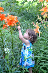 The little girl points a finger at garden lilies