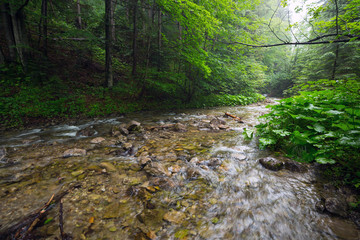 Rocky creek in Tatra mountains, Poland