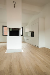 interior new house, room with fireplace