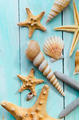 Seashells over wooden background