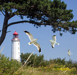 Leuchtfeuer Dombusch auf der Insel Hiddensee