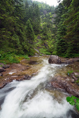 Fototapeta na wymiar Rocky Creek w Tatrach, Polska