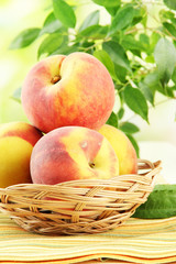 Naklejka na ściany i meble Ripe sweet peaches in basket on table, outdoors