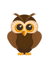 Vector owl bird, isolated on white background