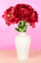 Beautiful peonies in vase on table on pink background