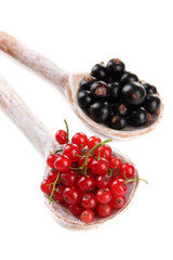 Red and black currant in wooden spoons isolated on white